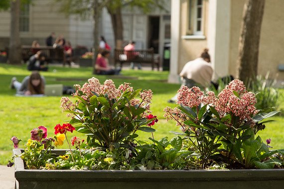 A little rant about sprinkles